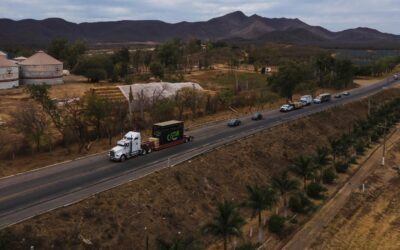 Tigers, jaguars and elephants are the latest to flee cartel violence in Mexico’s Sinaloa